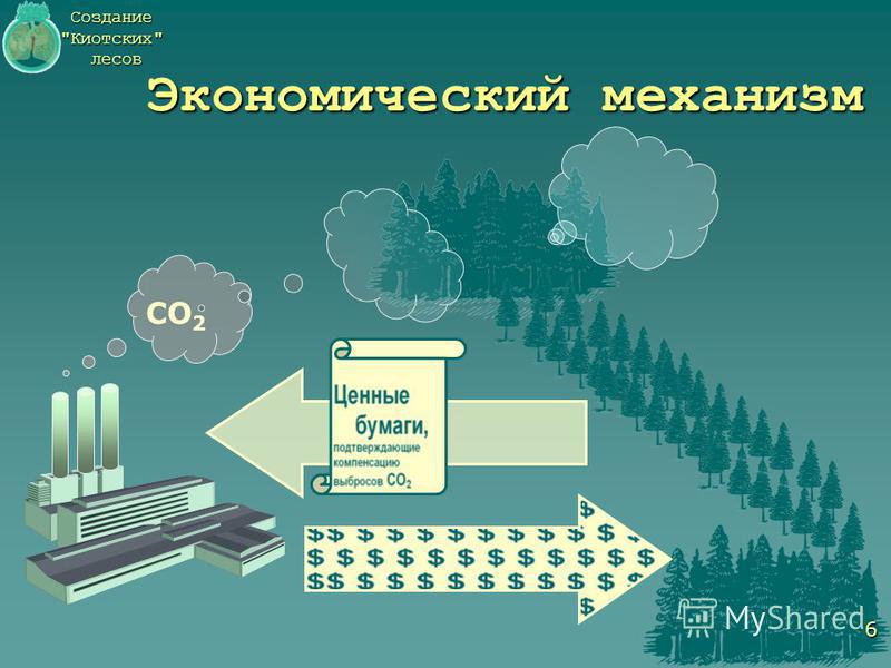 Создание Киотских лесов 6 СО 2 Экономический механизм