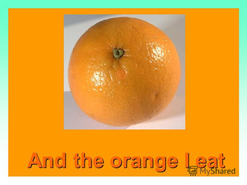 Orange is a carrot Orange is a carrot