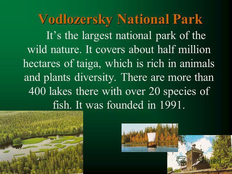 Vodlozersky National Park Its the largest national park of the wild nature. It covers about half million hectares of taiga, which is rich in animals and plants diversity. There are more than 400 lakes there with over 20 species of fish. It was founde