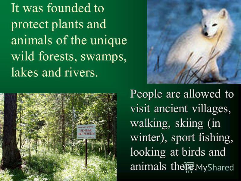 It was founded to protect plants and animals of the unique wild forests, swamps, lakes and rivers. People are allowed to visit ancient villages, walking, skiing (in winter), sport fishing, looking at birds and animals there.