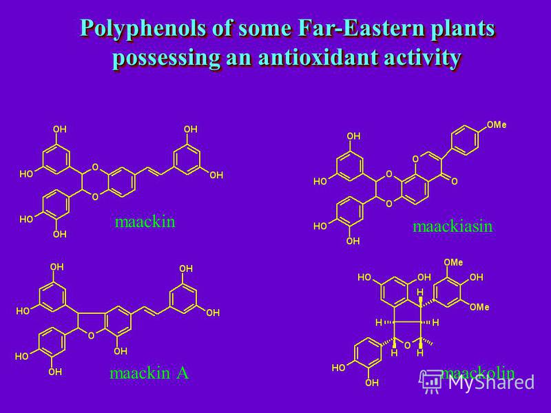 maackolin maackiasin maackin maackin А Polyphenols of some Far-Eastern plants possessing an antioxidant activity
