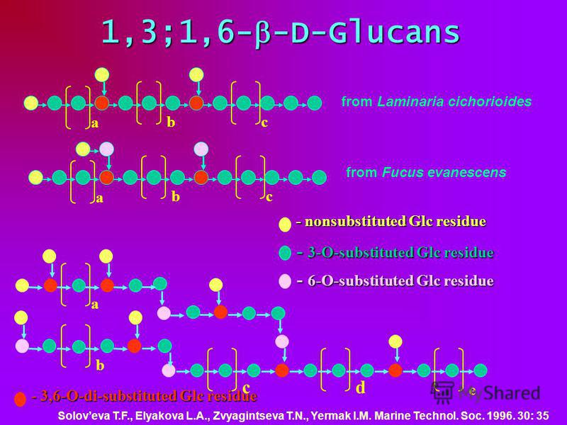 1,3;1,6- -D-Glucans a e dc b - 3,6-О-di-substituted Glc residue - nonsubstituted Glc residue - 3-О-substituted Glc residue - 6-О-substituted Glc residue a bc from Laminaria cichorioides a bc from Fucus evanescens Soloveva T.F., Elyakova L.A., Zvyagin