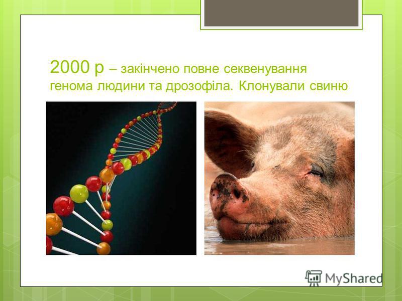 2000 р – закінчено повне секвенування генома людини та дрозофіла. Клонували свиню