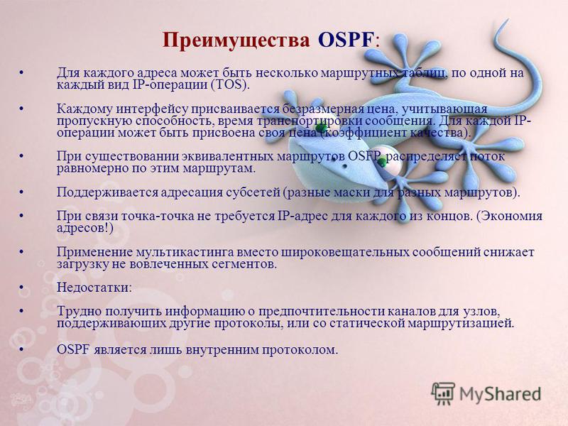 Преимущества OSPF: Для каждого адреса может быть несколько маршрутных таблиц, по одной на каждый вид IP-операции (TOS). Каждому интерфейсу присваивается безразмерная цена, учитывающая пропускную способность, время транспортировки сообщения. Для каждо