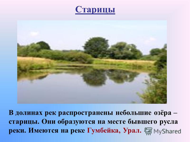 Старицы В долинах рек распространены небольшие озёра – старицы. Они образуются на месте бывшего русла реки. Имеются на реке Гумбейка, Урал.