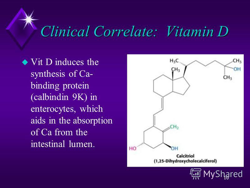 10 Clinical Correlate: Vitamin D u Vit D induces the synthesis of Ca- binding protein (calbindin 9K) in enterocytes, which aids in the absorption of Ca from the intestinal lumen.