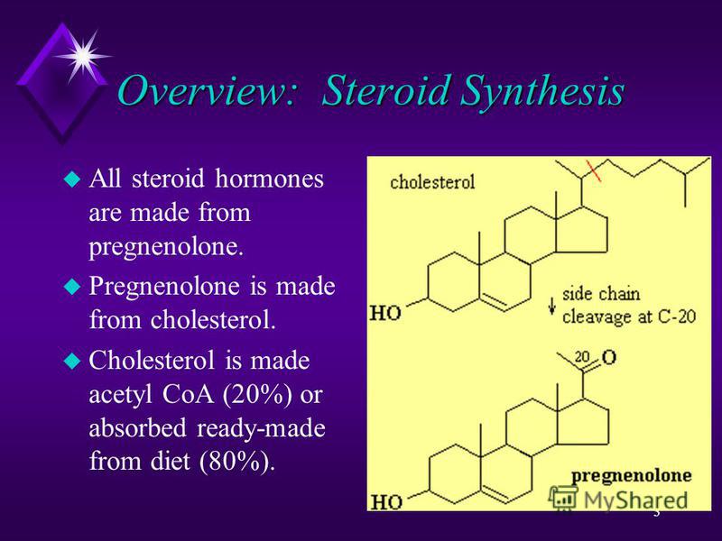 3 Overview: Steroid Synthesis u All steroid hormones are made from pregnenolone. u Pregnenolone is made from cholesterol. u Cholesterol is made acetyl CoA (20%) or absorbed ready-made from diet (80%).