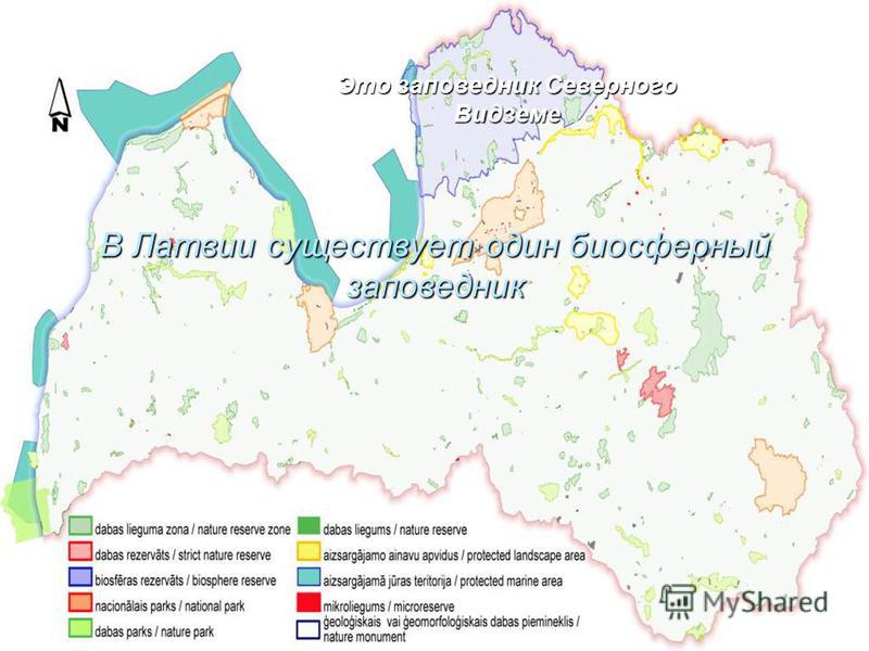 В Латвии существует один биосферный заповедник Это заповедник Северного Видземе