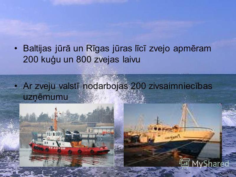 Baltijas jūrā un Rīgas jūras līcī zvejo apmēram 200 kuģu un 800 zvejas laivu Ar zveju valstī nodarbojas 200 zivsaimniecības uzņēmumu