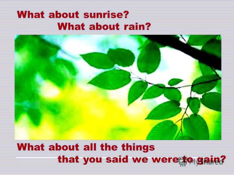 What about sunrise? What about rain? What about all the things that you said we were to gain?