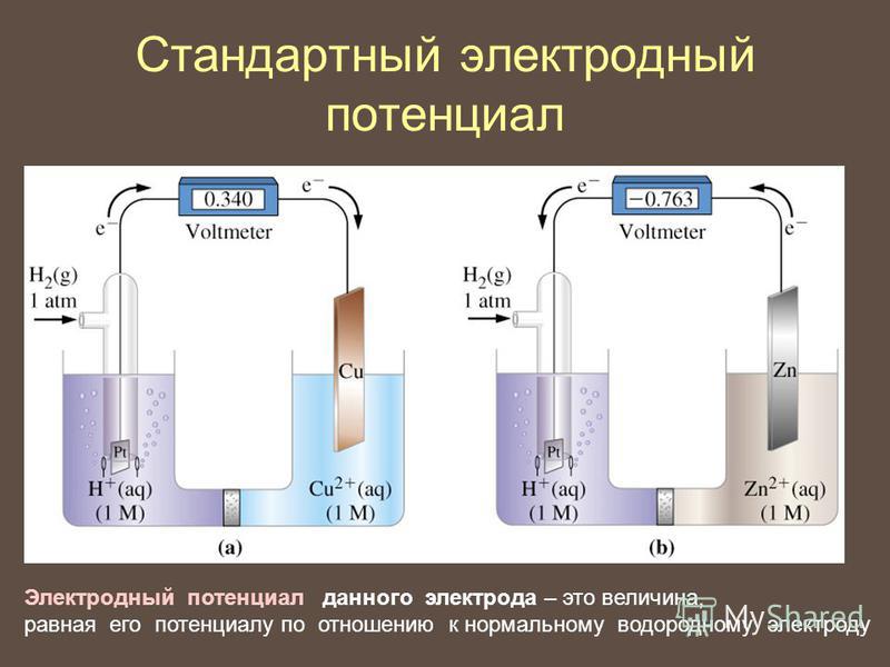 Стандартный электродный потенциал Электродный потенциал данного электрода – это величина, равная его потенциалу по отношению к нормальному водородному электроду