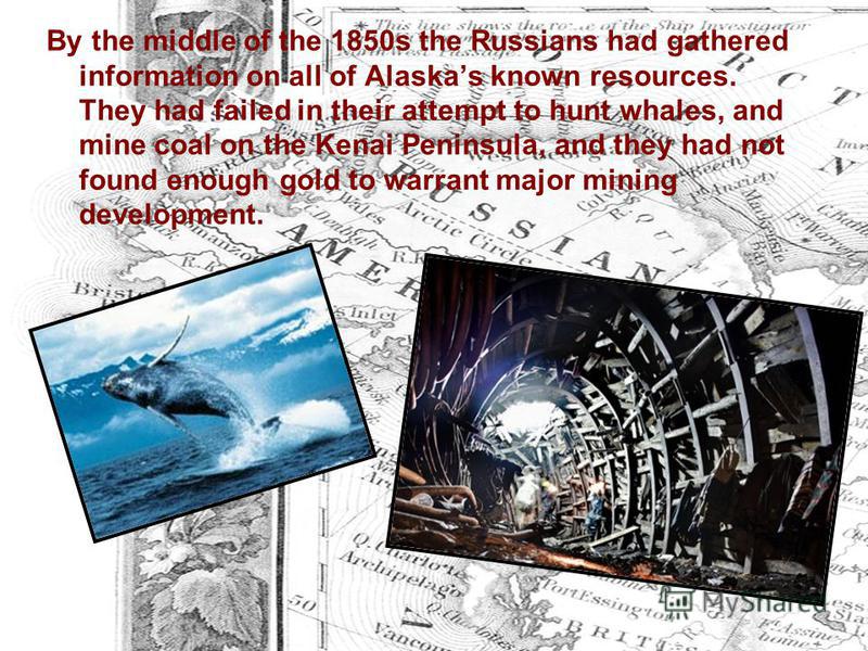 By the middle of the 1850s the Russians had gathered information on all of Alaskas known resources. They had failed in their attempt to hunt whales, and mine coal on the Kenai Peninsula, and they had not found enough gold to warrant major mining deve