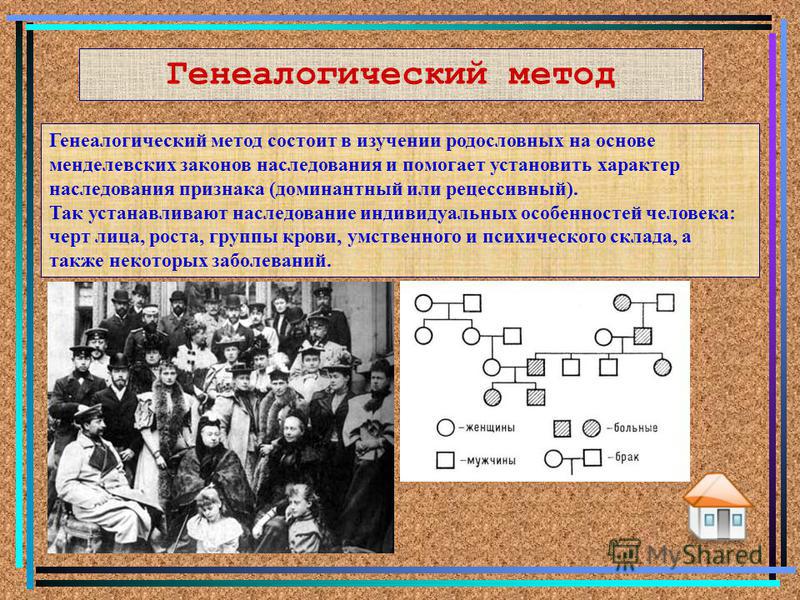 Презентация генеалогический метод генетики