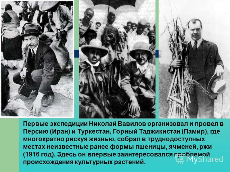 Первые экспедиции Николай Вавилов организовал и провел в Персию (Иран) и Туркестан, Горный Таджикистан (Памир), где многократно рискуя жизнью, собрал в труднодоступных местах неизвестные ранее формы пшеницы, ячменей, ржи (1916 год). Здесь он впервые 