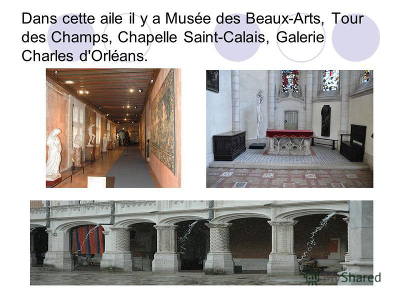 Dans cette aile il y a Musée des Beaux-Arts, Tour des Champs, Chapelle Saint-Calais, Galerie Charles d'Orléans.