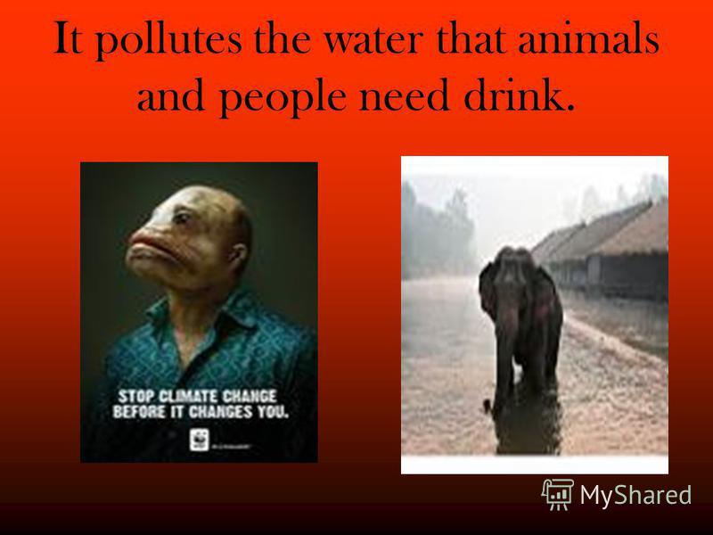 It pollutes the water that animals and people need drink.