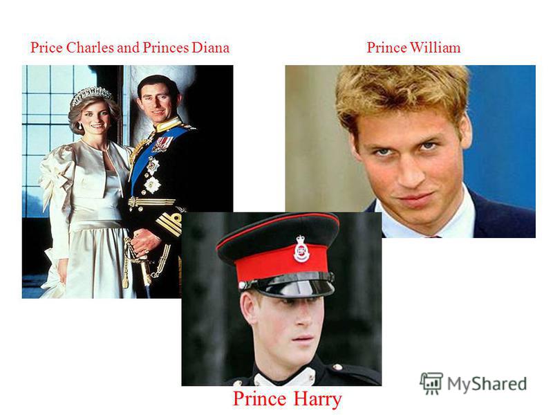 Price Charles and Princes Diana Prince William Prince Harry