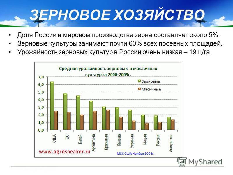 Доля России в мировом производстве зерна составляет около 5%. Зерновые культуры занимают почти 60% всех посевных площадей. Урожайность зерновых культур в России очень низкая – 19 ц/га. ЗЕРНОВОЕ ХОЗЯЙСТВО