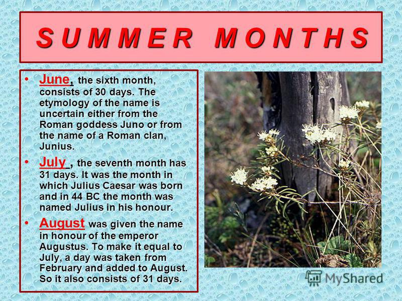 S U M M E R M O N T H S the sixth month, consists of 30 days. The etymology of the name is uncertain either from the Roman goddess Juno or from the name of a Roman clan, Junius.June, the sixth month, consists of 30 days. The etymology of the name is 