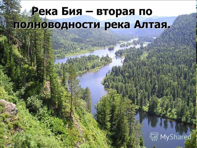 Река Бия – вторая по полноводности река Алтая.