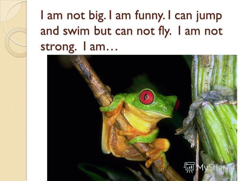I am not big. I am funny. I can jump and swim but can not fly. I am not strong. I am…