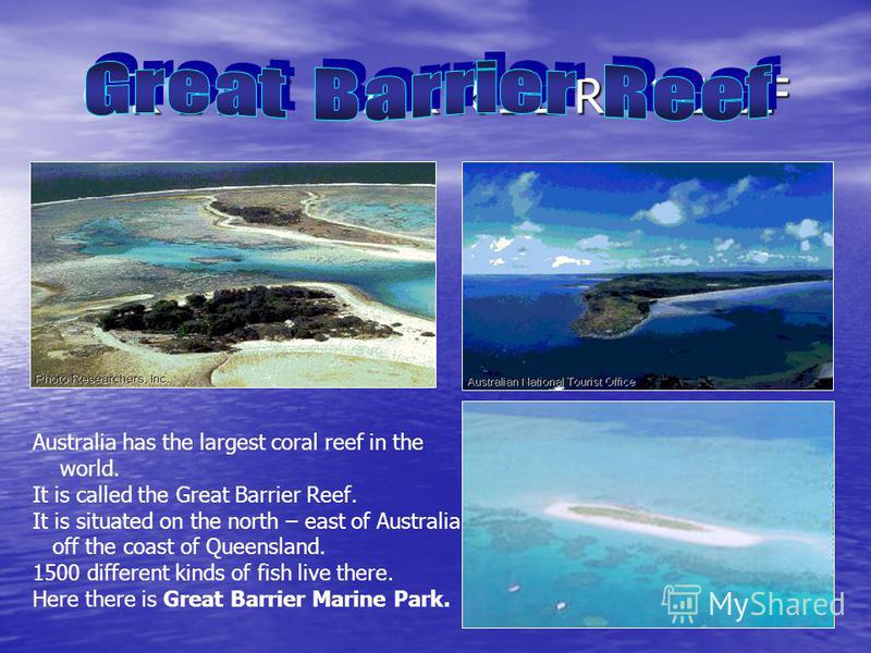 G R E A T B A R R I E R R E E F Australia has the largest coral reef in the world. It is called the Great Barrier Reef. It is situated on the north – east of Australia, off the coast of Queensland. 1500 different kinds of fish live there. Here there 