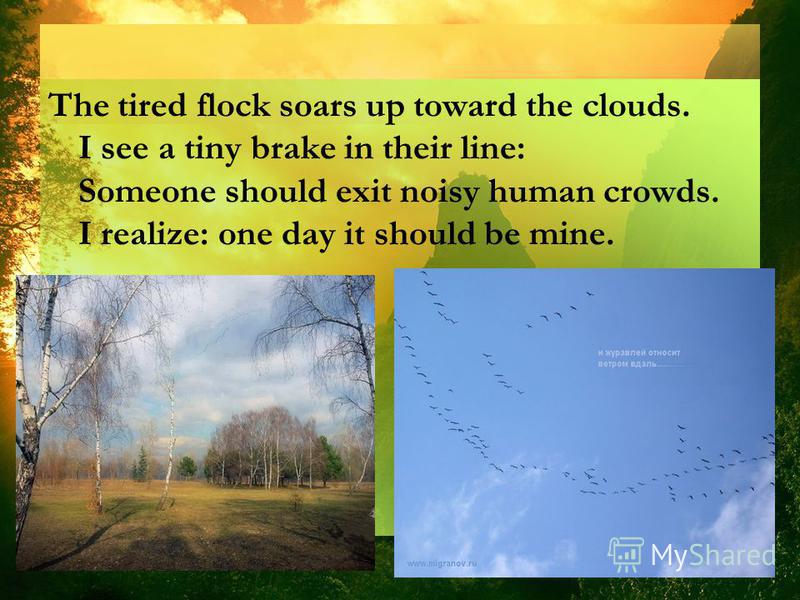 The tired flock soars up toward the clouds. I see a tiny brake in their line: Someone should exit noisy human crowds. I realize: one day it should be mine.