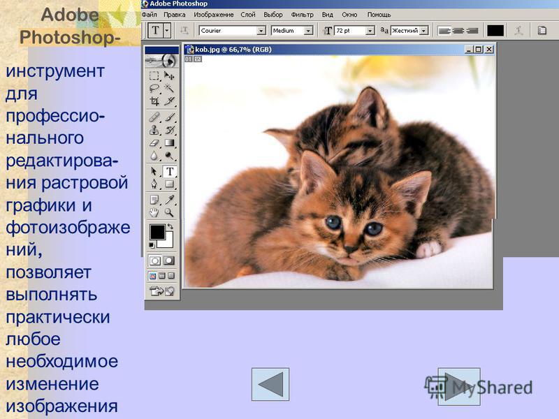 Adobe Photoshop- инструмент для профессионального редактирования растровой графики и фотоизображений, позволяет выполнять практически любое необходимое изменение изображения