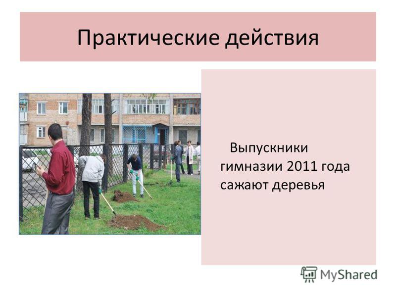 Практические действия Выпускники гимназии 2011 года сажают деревья