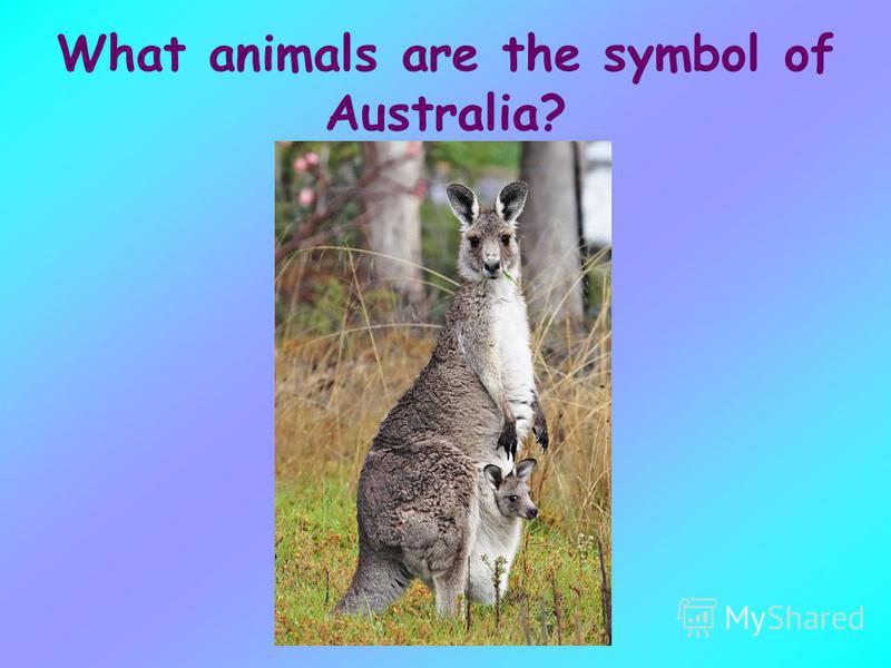 What animals are the symbol of Australia?