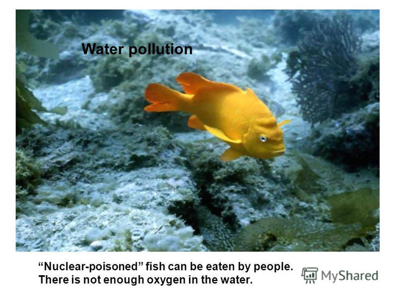 Water pollution Nuclear-poisoned fish can be eaten by people. There is not enough oxygen in the water.