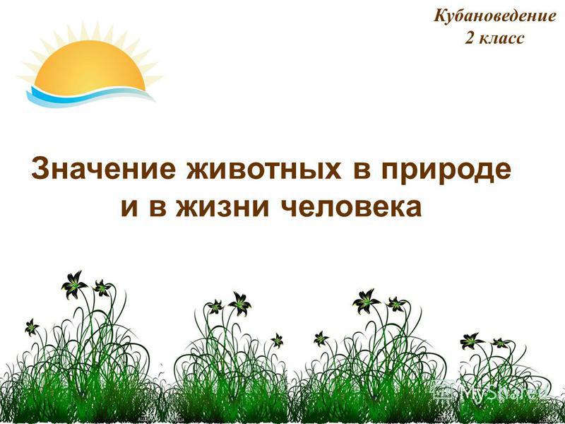 Значение корня в природе картинки Значение корня в природе картинки