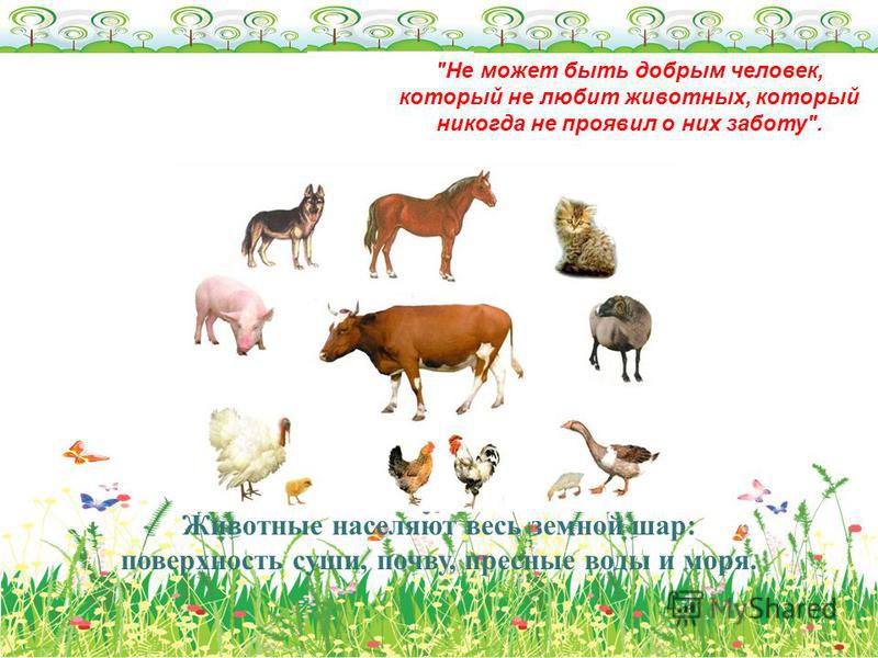 [PUNIQRANDLINE-(au-dating-names.txt) 34 Реферат на тему значение животных в природе 5169