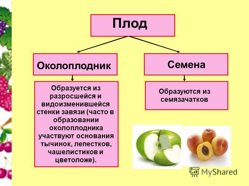 Снежинки из салфеток своими руками схемы шаблоны Снежинки из салфеток своими руками схемы шаблоны