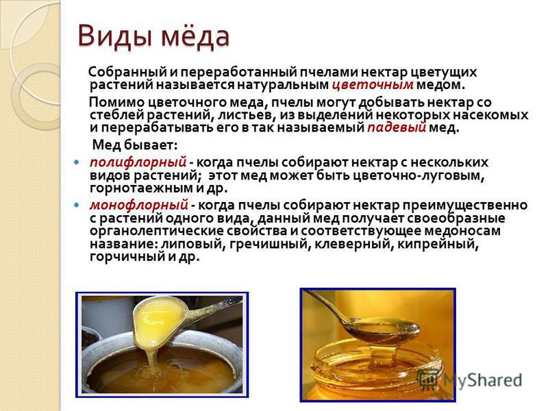 Сорта меда. Какие бывают разновидности меда и их особенности Описание сортов меда - Все о мёде