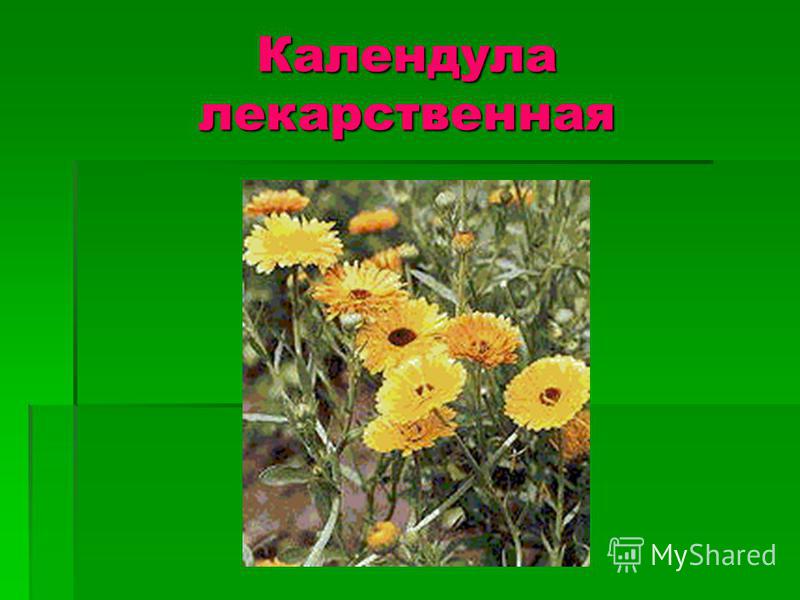 Презентация к внеклассному мероприятию