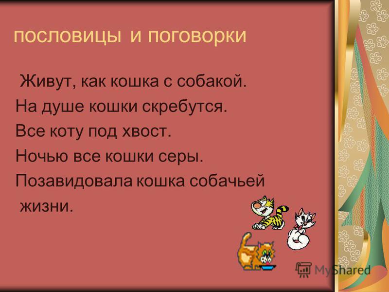 Под хвостом поговорки Под хвостом поговорки