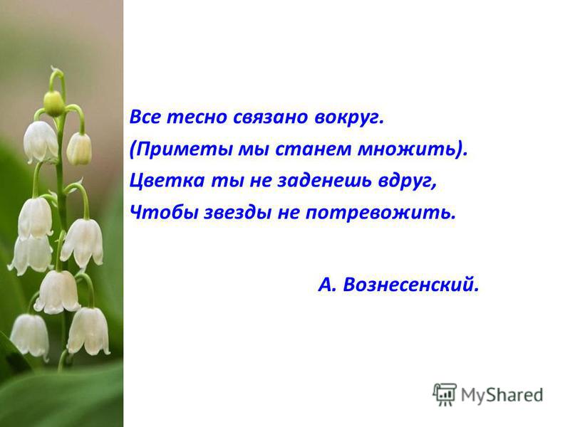 Все тесно связано вокруг Все тесно связано вокруг