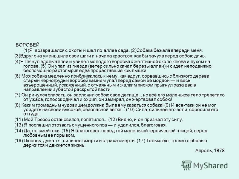 Стих в прозе воробей кому Стих в прозе воробей кому