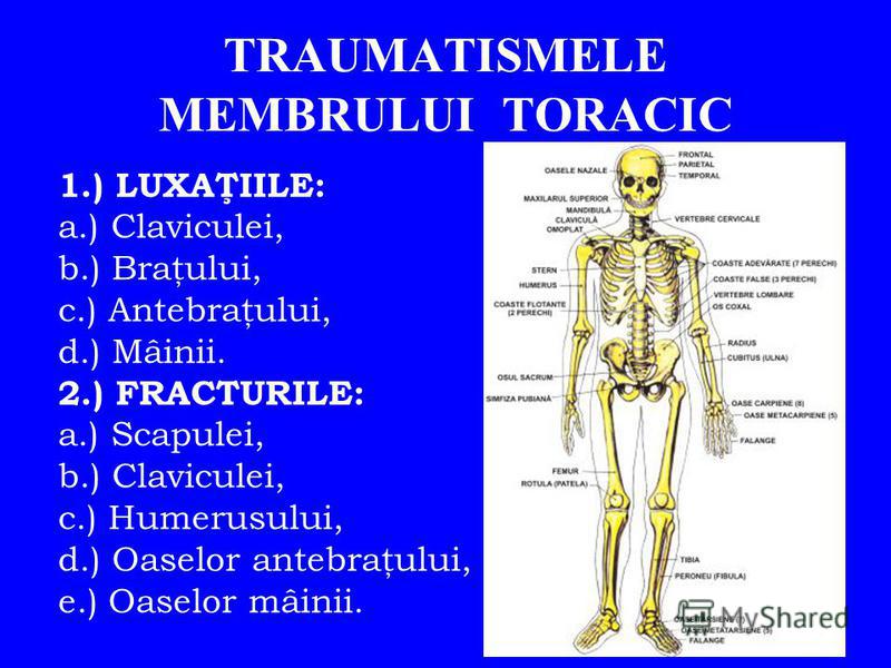 Intrebari pentru dr. Marius Uscatu - medic specialist ortopedie, traumatologie | Page 84 | Medlife