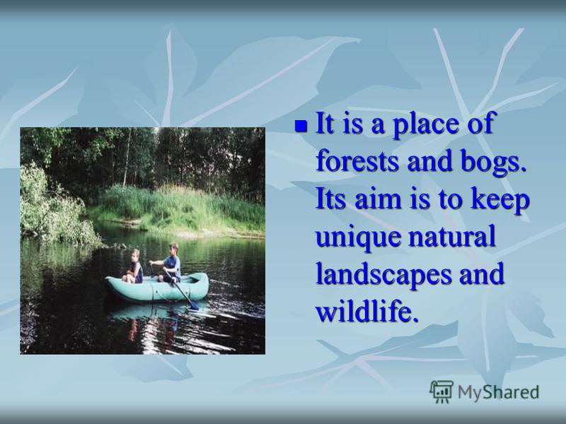 It is a place of forests and bogs. Its aim is to keep unique natural landscapes and wildlife. It is a place of forests and bogs. Its aim is to keep unique natural landscapes and wildlife.