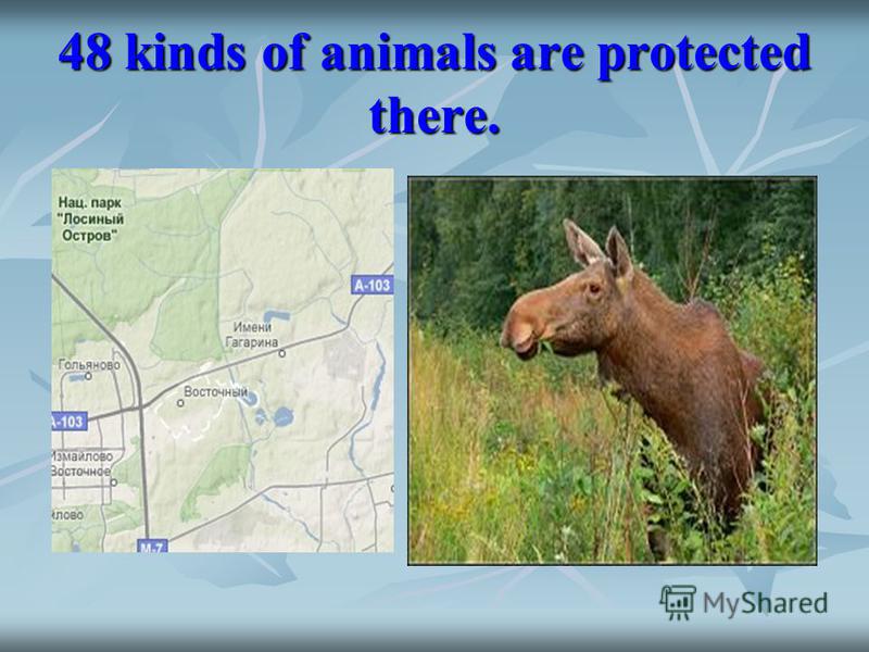 48 kinds of animals are protected there.