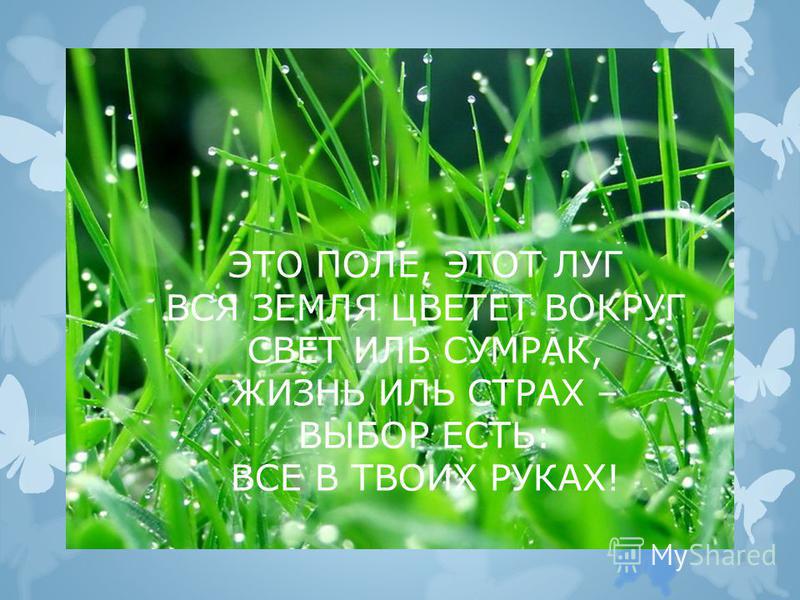 Все в твоих руках поздравления Все в твоих руках поздравления