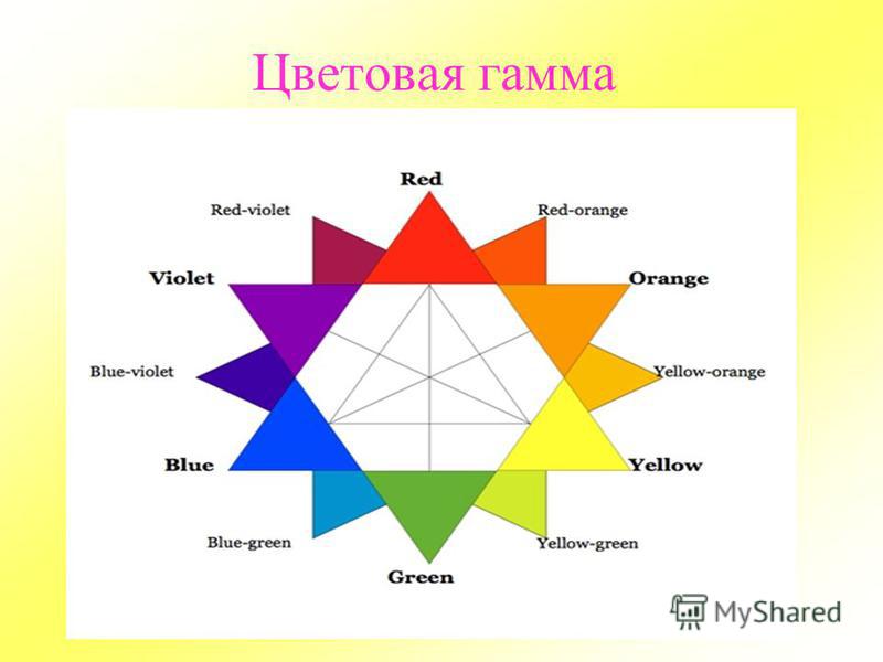 Гамма Цветов Фото