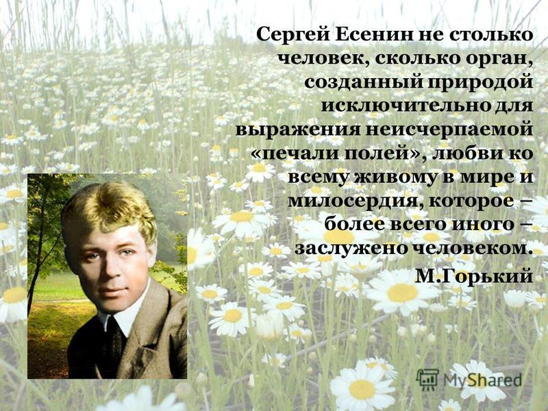 Картинки природы tой ее видел есенин Картинки природы tой ее видел есенин