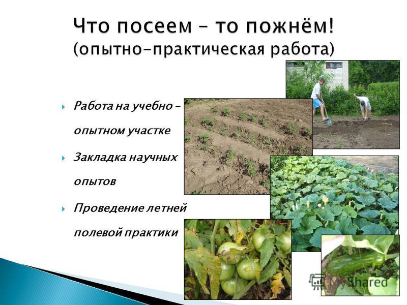 Конкурс на проведение праздничных мероприятий Конкурс на проведение праздничных мероприятий