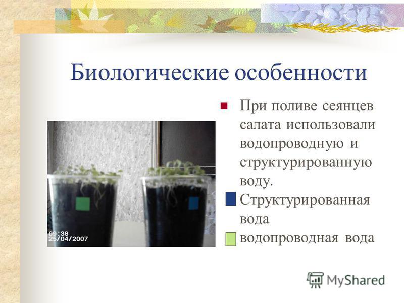 Структурированная вода как ее сделать Структурированная вода как ее сделать