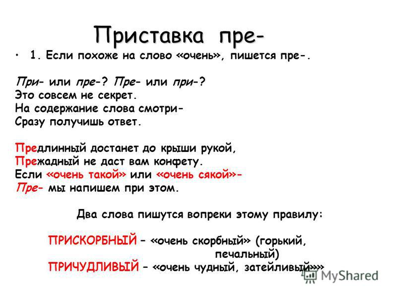 Учесть или участь как пишется