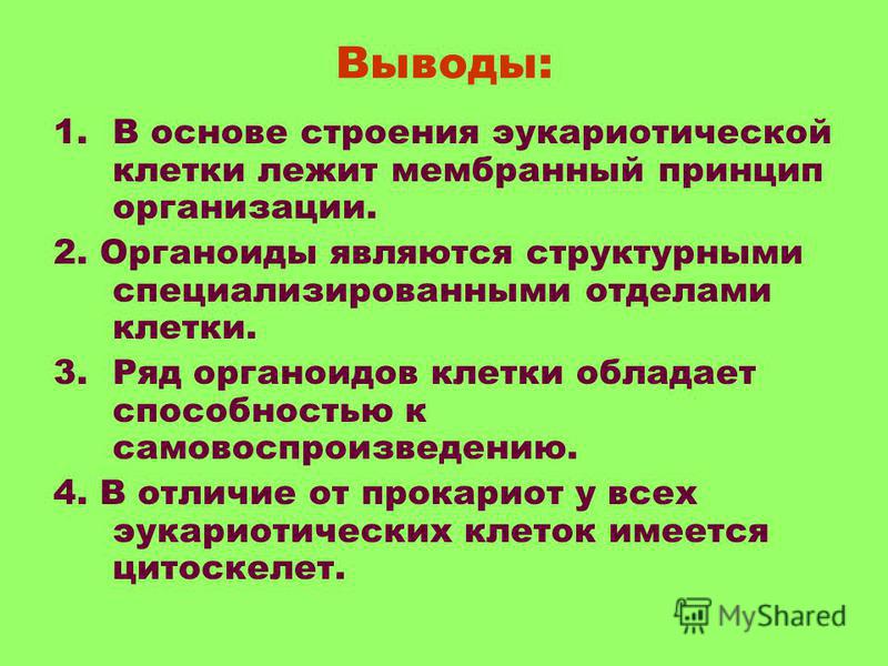 Таблица строение и функции клеточных структур - Распиновки.ру