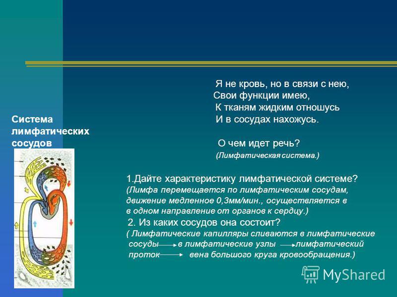 Ток крови в кругах кровообращения таблица - справочник Mohs.ru